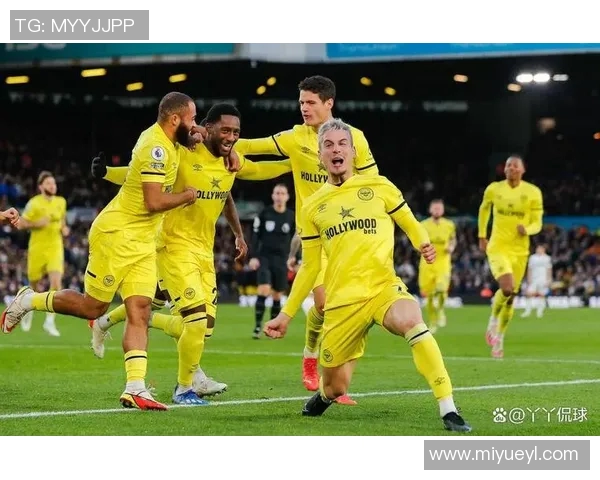 布伦特福德主场迎战卡迪夫全力争胜展现球队实力与决心