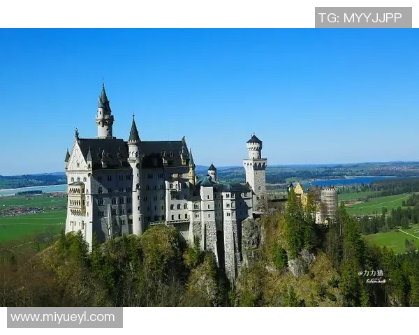 新城堡与阿德莱的对决解析：战术较量与球员表现的全面分析