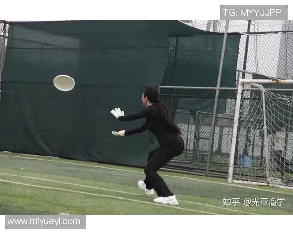 科学飞盘运动中的耐力训练技巧与方法探索MBA