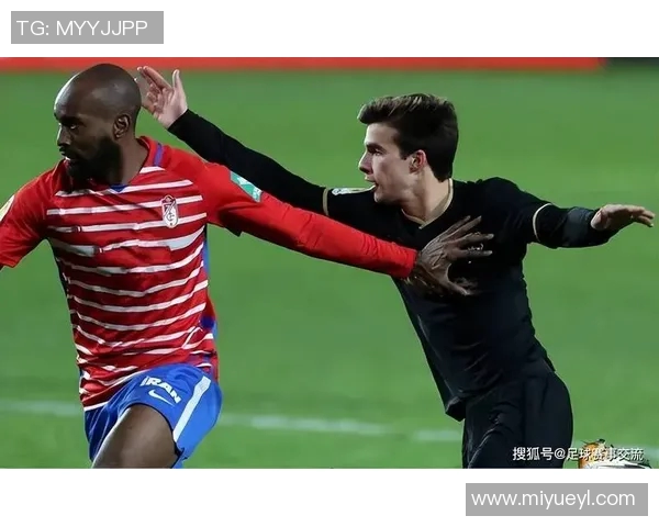 2019年里昂与斯特拉斯堡精彩对决回顾与分析