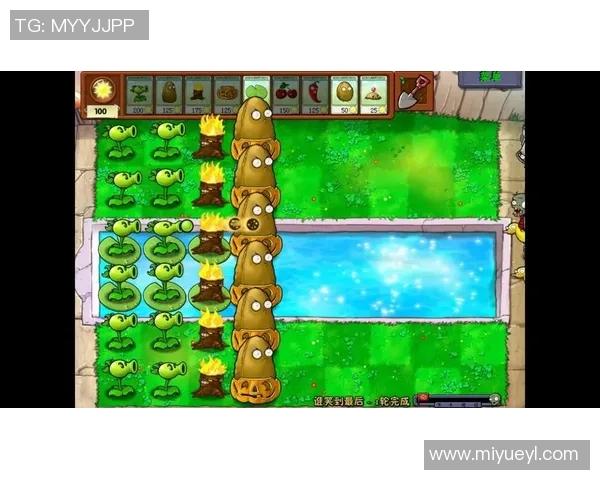 山口雷诺与赞起斧的巅峰对决谁能笑到最后 山口雷诺与赞起斧的巅峰对决谁能笑到最后