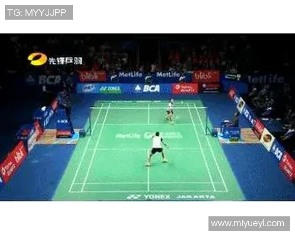 羽毛球深度解析：探秘北京羽毛球队的反击战术与训练秘诀