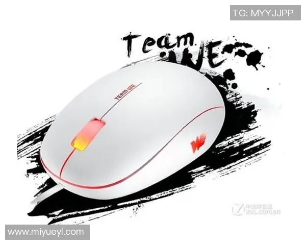 TES团队协作解析：DOTA2比赛中的默契与配合策略探讨