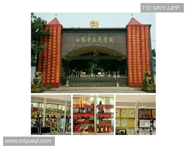 武汉足球队的蜕变之旅：从辉煌到重生的纪实探索